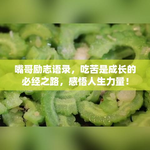 嘴哥励志语录，吃苦是成长的必经之路，感悟人生力量！