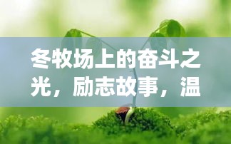 冬牧场上的奋斗之光，励志故事，温暖人心