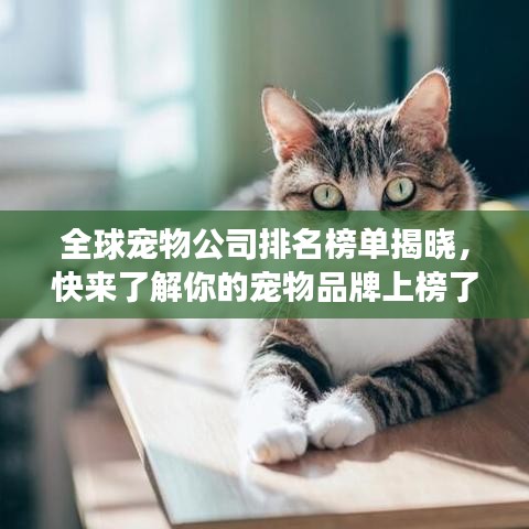 全球宠物公司排名榜单揭晓，快来了解你的宠物品牌上榜了吗？