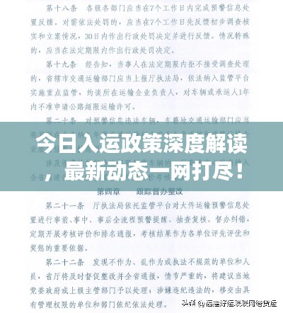 今日入运政策深度解读，最新动态一网打尽！