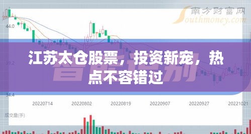 江苏太仓股票，投资新宠，热点不容错过