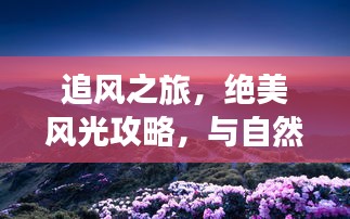 追风之旅，绝美风光攻略，与自然之风共舞畅游美景胜地