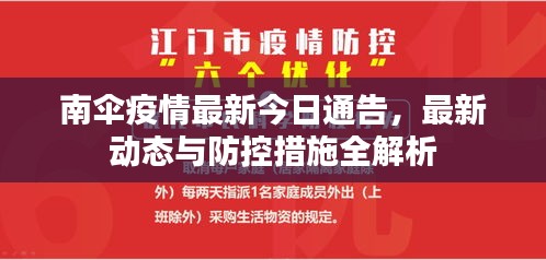 南伞疫情最新今日通告，最新动态与防控措施全解析