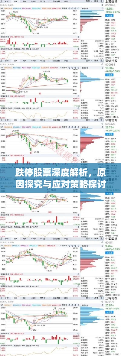 跌停股票深度解析，原因探究与应对策略探讨