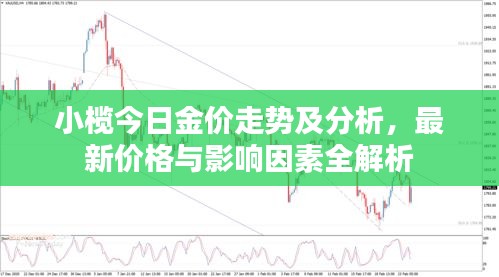 小榄今日金价走势及分析，最新价格与影响因素全解析