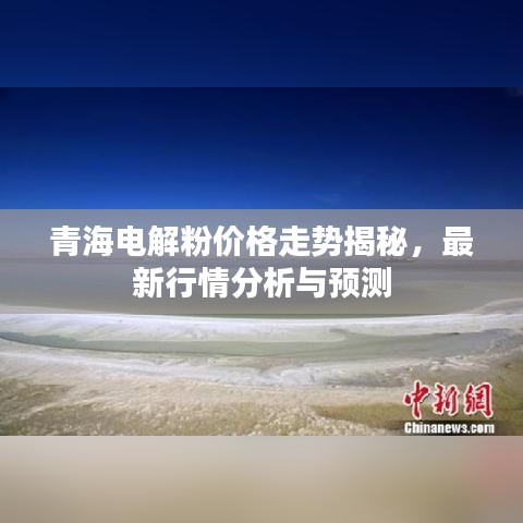 青海电解粉价格走势揭秘，最新行情分析与预测