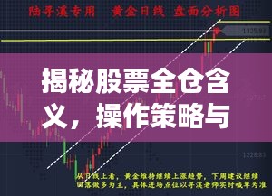 揭秘股票全仓含义，操作策略与风险解析