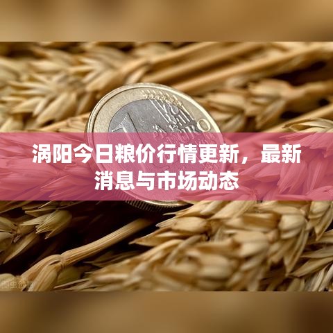 涡阳今日粮价行情更新，最新消息与市场动态