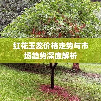 红花玉蕊价格走势与市场趋势深度解析