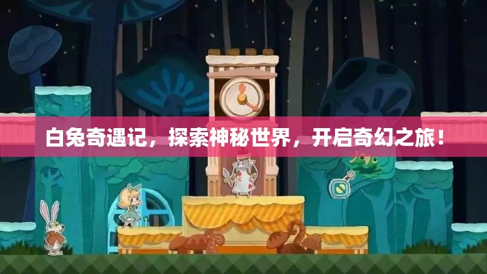 白兔奇遇记，探索神秘世界，开启奇幻之旅！