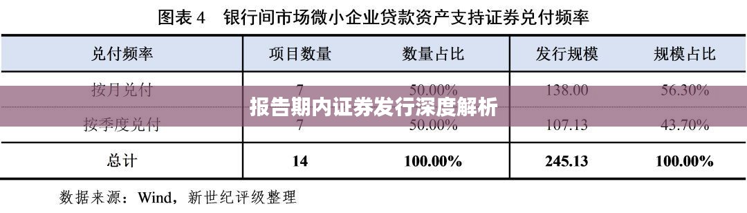 报告期内证券发行深度解析