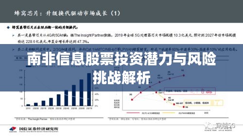 南非信息股票投资潜力与风险挑战解析