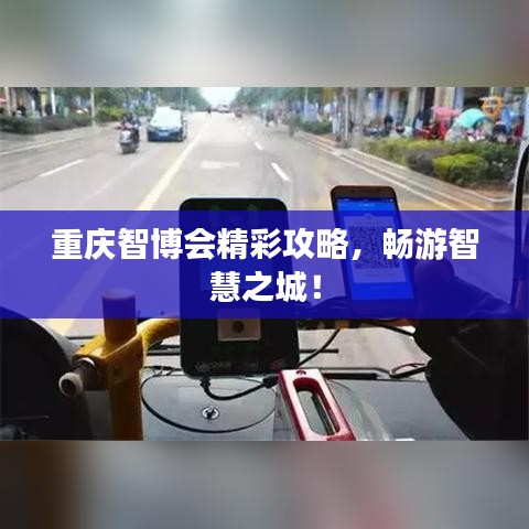 重庆智博会精彩攻略，畅游智慧之城！