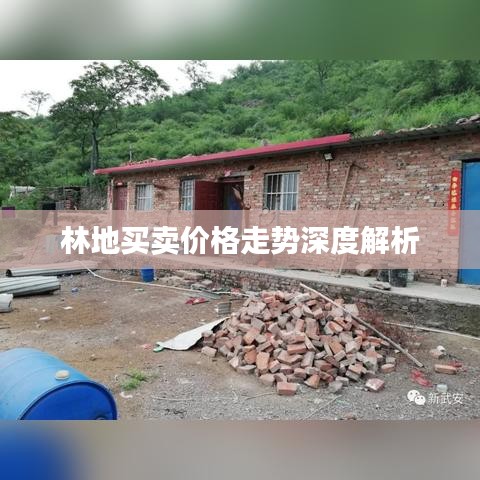 林地买卖价格走势深度解析