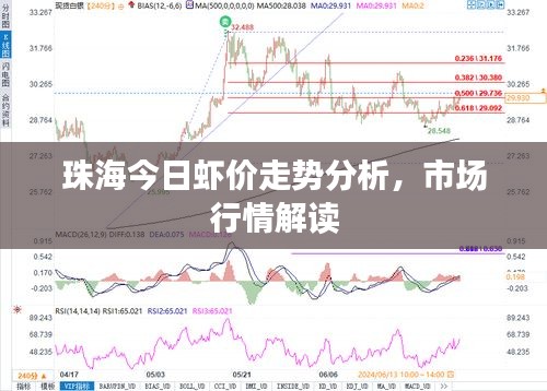 珠海今日虾价走势分析，市场行情解读