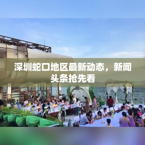 深圳蛇口地区最新动态，新闻头条抢先看