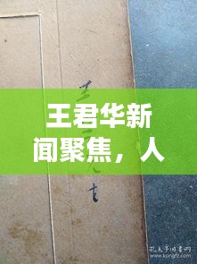 王君华新闻聚焦，人物动态与业界热议热议不断