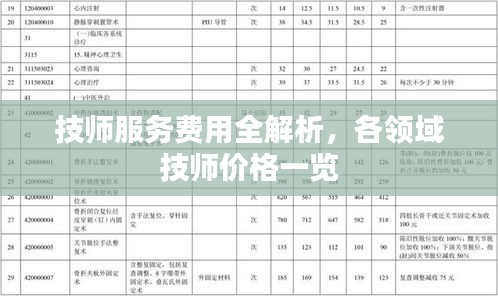 技师服务费用全解析，各领域技师价格一览