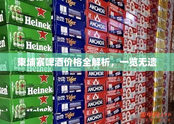 柬埔寨啤酒价格全解析，一览无遗