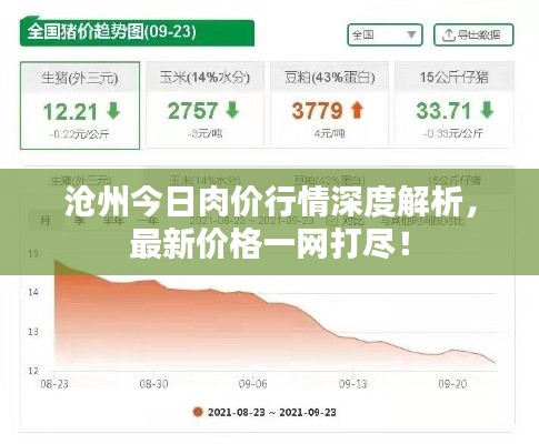 沧州今日肉价行情深度解析，最新价格一网打尽！