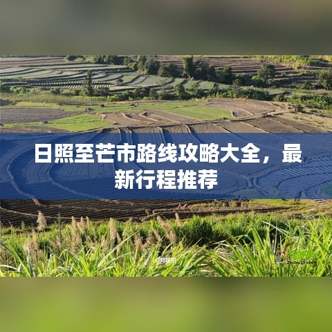 日照至芒市路线攻略大全，最新行程推荐