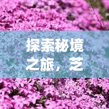 生肖 第9页