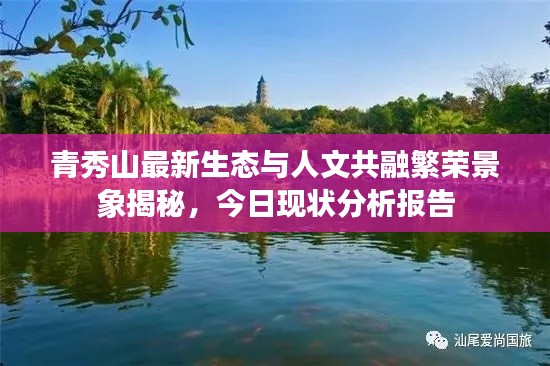 青秀山最新生态与人文共融繁荣景象揭秘，今日现状分析报告