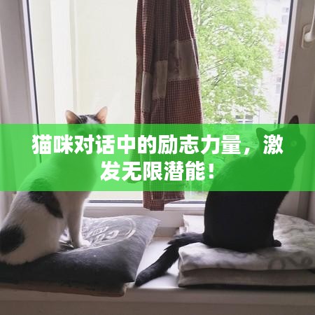 猫咪对话中的励志力量，激发无限潜能！