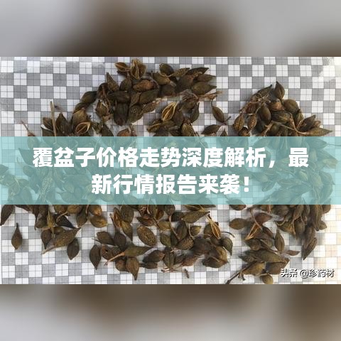 覆盆子价格走势深度解析，最新行情报告来袭！