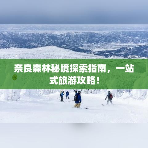 奈良森林秘境探索指南，一站式旅游攻略！