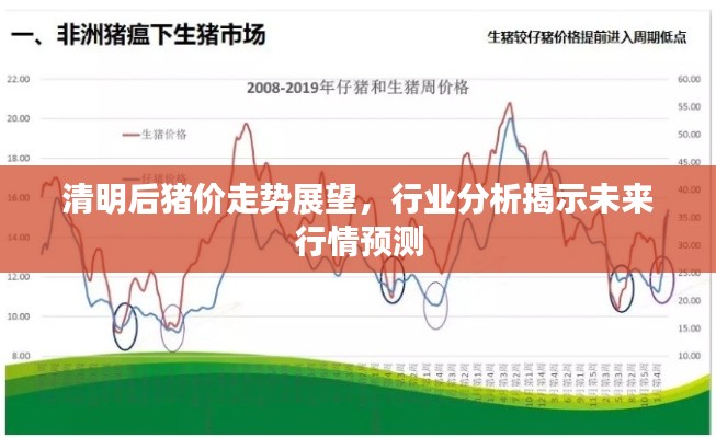 2025年2月20日 第13页