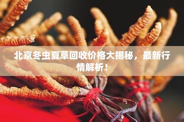 北京冬虫夏草回收价格大揭秘，最新行情解析！