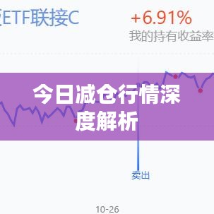 今日减仓行情深度解析