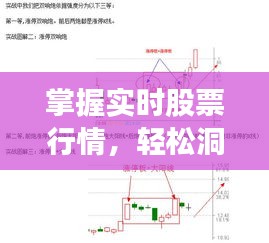 掌握实时股票行情，轻松洞悉股市动态！