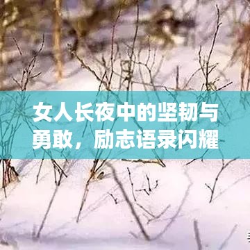 女人长夜中的坚韧与勇敢，励志语录闪耀梦想星光