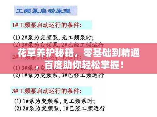 花草养护秘籍，零基础到精通，百度助你轻松掌握！