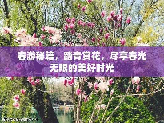 春游秘籍，踏青赏花，尽享春光无限的美好时光