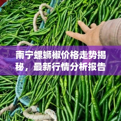 南宁螺蛳椒价格走势揭秘，最新行情分析报告！