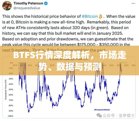 BTFS行情深度解析，市场走势、数据与预测