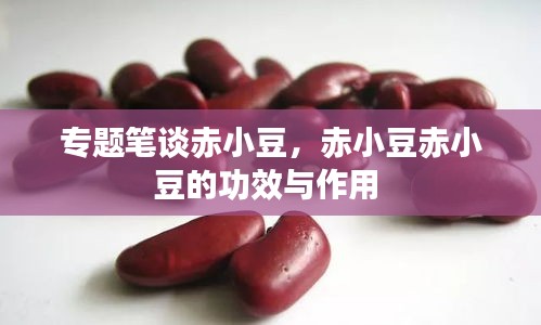 专题笔谈赤小豆，赤小豆赤小豆的功效与作用 