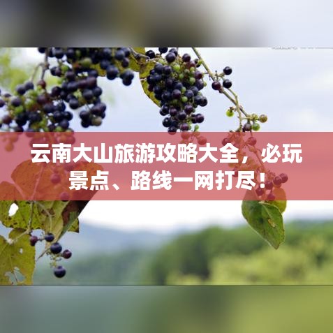 云南大山旅游攻略大全，必玩景点、路线一网打尽！