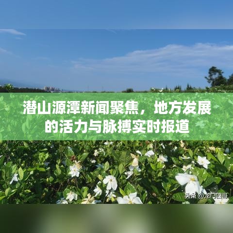 潜山源潭新闻聚焦，地方发展的活力与脉搏实时报道