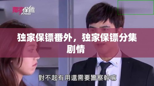 独家保镖番外，独家保镖分集剧情 