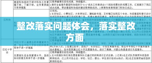 整改落实问题体会，落实整改方面 