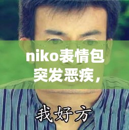 niko表情包 突发恶疾， 