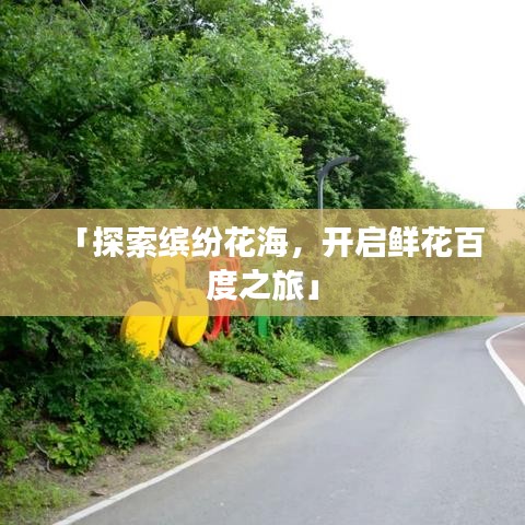 「探索缤纷花海，开启鲜花百度之旅」