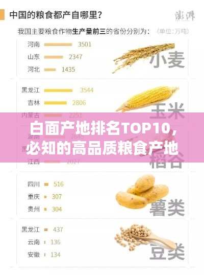 白面产地排名TOP10，必知的高品质粮食产地榜单！