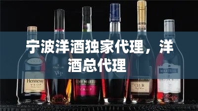 宁波洋酒独家代理，洋酒总代理 