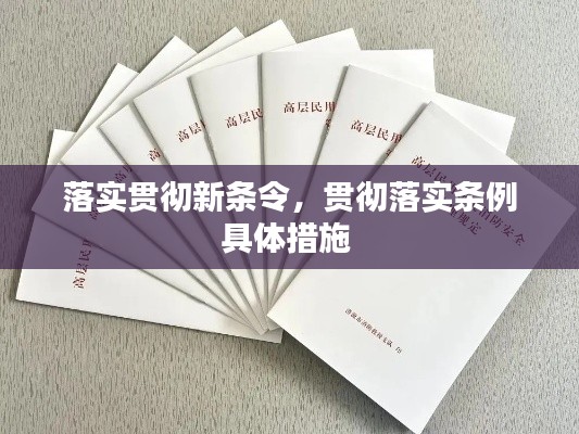 落实贯彻新条令，贯彻落实条例具体措施 