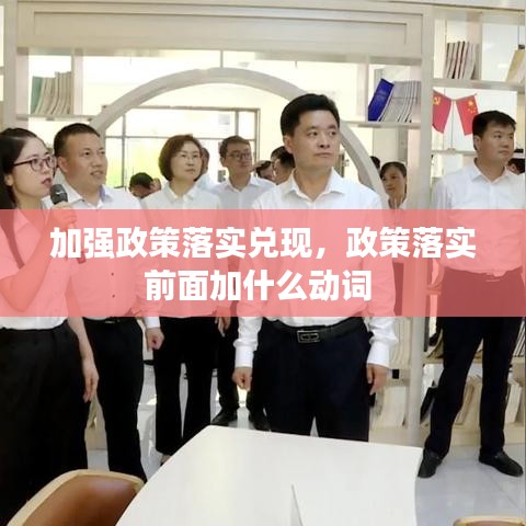 加强政策落实兑现，政策落实前面加什么动词 